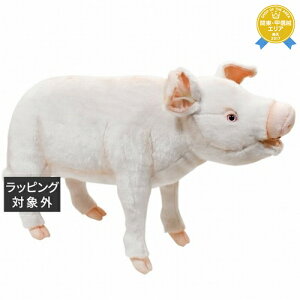  nT u^ W14×H39×D57×T15cm | HANSA 