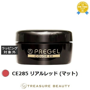 �v���W�F�� �v���W�F�� �J���[EX CE285 ���A�����b�h (�}�b�g) | �l�C���p�i ���������� �����ɂ���