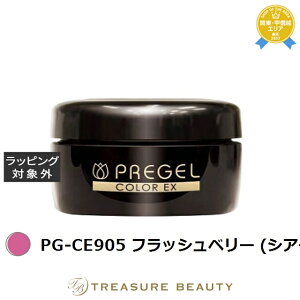 �v���W�F�� �v���W�F�� �J���[EX PG-CE905 �t���b�V���x���[ (�V�A�[) | �ň��l�ɒ��� PREGEL �l�C���p�i