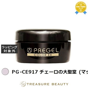 �y�ő�4500�~�N�[�|���z�v���W�F�� �v���W�F�� �J���[EX PG-CE917 �`�F�[���̑吹�� (�}�b�g) | �ň��l�ɒ��� PREGEL �l�C���p�i