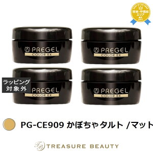 �v���W�F�� �v���W�F�� �J���[EX PG-CE909 ���ڂ���^���g /�}�b�g 4�Z�b�g | �l�C���p�i ���������� �����ɂ���