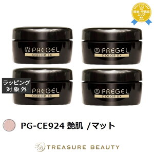 �������� �v���W�F�� �v���W�F�� �J���[EX PG-CE924 ���� /�}�b�g 4�Z�b�g | PREGEL �l�C���p�i