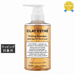 NCGXe vC~O S[hNCVv[ 400ml | ňlɒ CLAY ESTHE Vv[