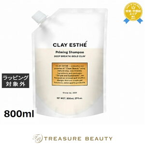 yő4500~N[|z NCGXe vC~O S[hNCVv[ 800ml | CLAY ESTHE Vv[