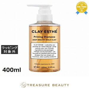 yő4500~N[|zNCGXe vC~O S[hNCVv[ 400ml | ňlɒ CLAY ESTHE Vv[