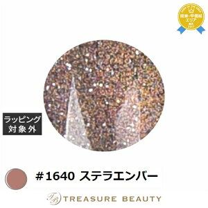 ACXWF A BLACK X^[MNV[WF #1640 XeGo[ 3g | ňlɒ ICEGEL lCpi