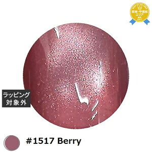 yő4500~N[|zACXWF A BLACK ~XgX^[MNV[WF #1517 Berry 3g | ňlɒ ICEGEL lCpi