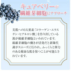 モイスタンプアイケアパッチ4PセットCB-101/4マイクロニードルモイスタンプ日本製ブルーライト対策PCスマホキュアベリーヒアルロン酸乾燥小じわ目元針コラーゲンパックおうち時間エイジングケア寝ている間