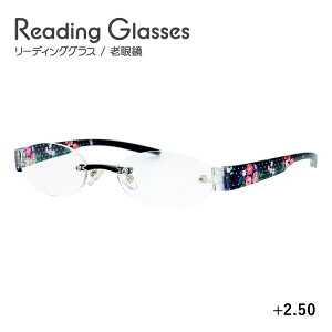 Vዾ VjAOX [fBOOX TR-20 ubN IVȃc[|Cgt[Ōy Y fB[X ̓ ̓ hV̓ bsO