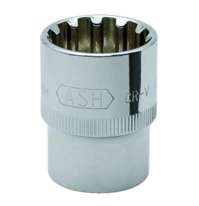 �������H�Ɓ@�A�T�q�@ASH�@�n�C�u���b�g�\�P�b�g�@1/2�i12.7�jx21mm�@VF4210