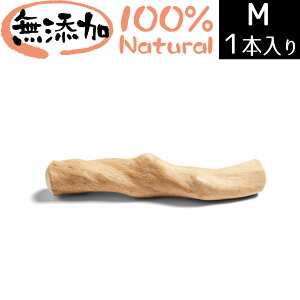 CANOPHERA LmtB pf^`[XeBbN S퐬p    MTCY  1{  VR