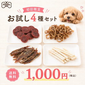 犬 おやつ お試しセット【初回限定 / 送料無料 / 1000円ポッキリ】4種 詰め合わせ 歯磨きガム オーラルン 豚耳 鴨肉 牛肉 ジャーキー トリーツハウス Treats House