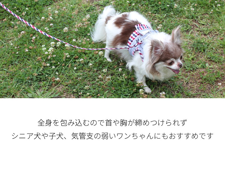 楽天市場 クリックポスト送料無料 犬 ハーネス 胴輪 ウエア Smサイズ 小型犬 マルチチェック Wh Sm ベスト チェック ピンク ブルー 青 散歩用 お出掛け おしゃれ かわいい ペットグッズ ツリー Tree Trunk おすすめ トランク Tree General Store