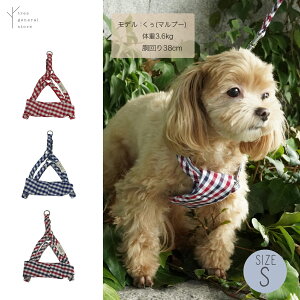 yNbN|Xgz n[lX  STCY ^ Up o|[URAKE/H/S] MK `FbN XEFbg bh  lCr[  gR O[   z Ȃ trunk