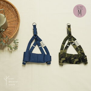 yNbN|Xgz n[lX  MTCY ^ Up o|[JEfj/H/M]Jt  fj   Ȃ z ȒP S̏Ȃ 2S trunk gN 