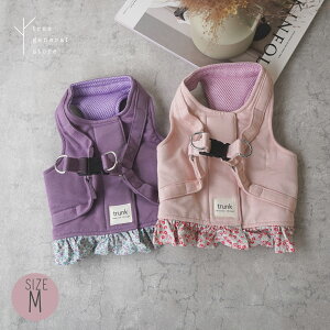 yz n[lX  EGA MTCY ^ ^ Up o|[XGbgԕ/WH/M] xXg XEFbg t sN p[v   ԕ t[    