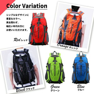 oR bN 30bg AEghA obNpbN 30L fB[X Y h IW ubN bh O[ u[ oRbN hЃbN ʋ y nCLO ً}p /oR