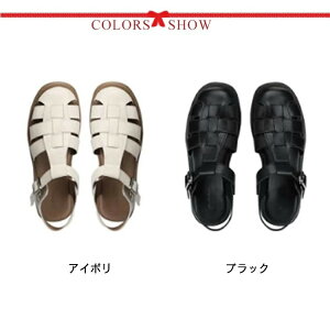 fB[X T_ 傫TCY OJT_ Ol܂ Xgbv Ol܂  T_ EFbW\[ ؂ xgT_ XNGAgD V[Y tbgT_ 