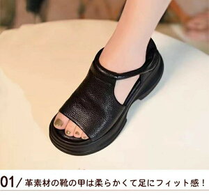 Xg[gT_ I[vgDEFbW\[T_ fB[X 5cm ̌ xNfUC 4E  [} r Ȃ ~ JWAT_ K t ʋ T