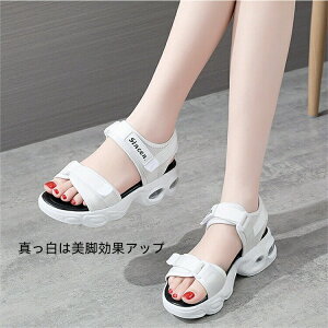 gUP   T_ fB[X K[Y jo[T T_ fB[X ̎q V[YC  p X|[cT_ xNT_ r r[`T_ AEghA q