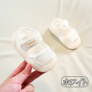 V[Y T_ X|[cT_ ʉ r[`T_ X|[c [V[Y NbOT_ T{T_ ~ ĕ ~ ʋC C ܐی ČC ʊw 11.5cm 12cm 12.5cm 13cm 13.5c