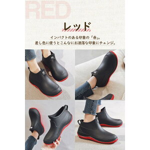 Cu[c fB[X Y C CV[Y V[gu[c AEghA h C V[g  JC JWA yA jp