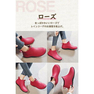 Cu[c fB[X Y C CV[Y V[gu[c AEghA h C V[g  JC JWA yA jp