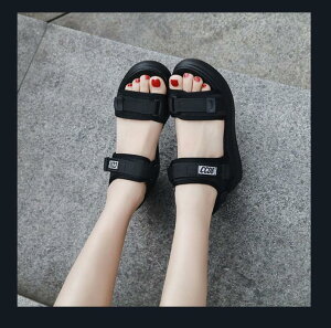 X|[cT_ @fB[X T_ 6cm RtH[g T_ r[`T_ y fB[X r[`T_ C C xN Xj[J[ X|[c T_ ₷