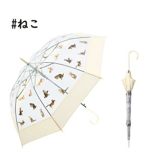 낱lR P86cm fB[X 傫 tHgWFjbN   ʐ^ vg n OXt@Co[ v    