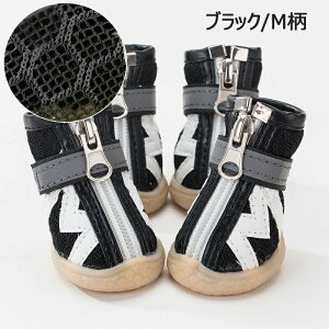 ̌C 4Zbg  C EȂ h Ȃ ₷? h Ԕ PKh~ ی ₯Ǘ\h ɂS }WbNe[vŌŒ ^^^ ^ 