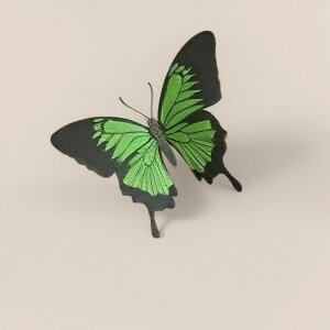 3Dvg X }Olbg ①ɃXebJ[ f _A[g CeA av[g 2Zbg