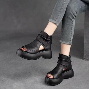 bV T}[u[c T_ fB[X v ʋC OfBG[^[