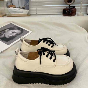 [t@[ fB[X [XAbv EhgD  C V[Y hXV[Y ҂ݏグ V[Y ₷ R n  傫TCY r ؂ JWA