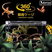楽天市場】衣装ケース 布（爬虫類・両生類｜ペット・ペットグッズ）の通販