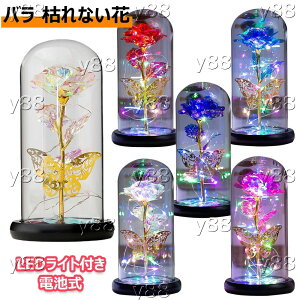 �o�� �͂�Ȃ��� ���� �K�N �S�[���h���b�L���[�Y �t�����[���C�g LED���C�g�t�� �d�r�� �ԑ� �v���[���g�o�� �L���L�� �K���X�h�[�� �N���X�}�X �o�����^�C���f�[ �t�����[ �v���[���g ���