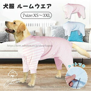 yzp p㕞 [EGA  іh~ 앞 ^ ^ ^ t  H ~ D  ی rߖh~ ybgp