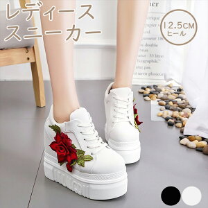 Xj[J[ fB[XXj[J[ Cq[ ohJ 12.5cmq[ ₷ [XAbvV[Y vbgtH[ C nCJbg JWA q V[Y gAbv t