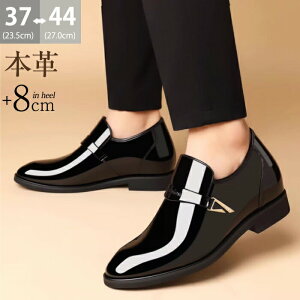 _8OFFN[| 17܂Ł^V[NbgV[Y 8cm UP rWlXV[Y Y  {v Gi Xb| gAbv vC [t@[ wȂC oȂ   tH