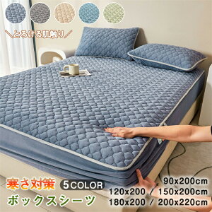 _Vi12OFFN[| 11/20܂Ł^{bNXV[c VO Z~_u _u NC[ LO ~  }CNt@Co[ }bgXJo[ xbhV[c ~pbh |R|R  k