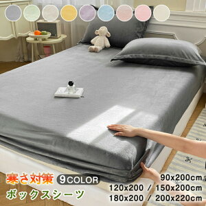 _Vi12OFFN[| 11/19܂Ł^{bNXV[c ~  }CNt@Co[ VO _u NC[ xbhV[c }bgXJo[ xbhJo[ ~pbȟ^ g k 