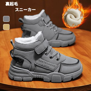 X|[cC LbY N Xj[J[ ̎q j̎q [gu[c q ^C _X V[Y _XXj[J[ V[g Xm[u[c ؍ q ʉ ʊw  {A _bhXj[J