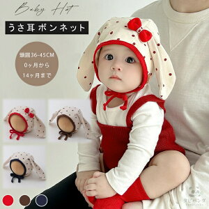 xr[ Xq   t xr[Xq {lbg j̎q ̎q V Ԃ tH t H y 100 Rbg hbg  oj[ 킢  Rt  ی xr[