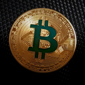 おもちゃ ビットコインの人気商品 通販 価格比較 価格 Com
