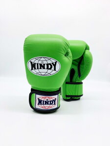 Windy グローブ ライトグリーン 8oz 10oz 12oz 14oz 16oz ウィンディ ムエタイ キックボクシング 総合格闘技 ボクシング 空手 テコンドー