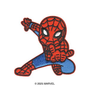 yCZXiz LN^[by }[x XpC_[} #31 ACڒ 2025NtŐV p wp̎ObYɁBMARVEL spider man Spiderman ς[܂