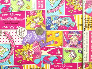 NEWILN^[ n JbgNX L~ƃACh vLA  #33 50cm x 110cm yIbNX/Rbg100z 2025Np wpŐV z n LN^[n L~ƃAChvL