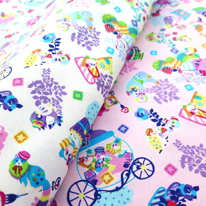 LN^[ n JbgNX ̃J[rB #5 50cm x 110cm yIbNX/Rbg100z 2023Np wp lC̃zO`JR{AWĕ CVSWITCHpQ[