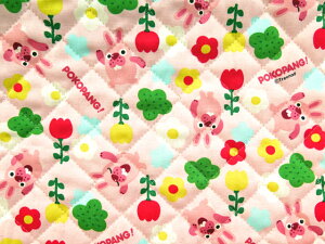 yz LN^[n |RpI(POKOPANG) yLg/Rbg |GXez 2018Nt̓EwŐV 2011Ñ[Xȗ6000ȏ̃_E[hByLN^[zy