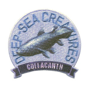 yÂfUC̃byl܂zLN^[by w̐}ӃCu y[C V[Yz ACڒ / V[ p^Cv Ewp̎ObYɁB