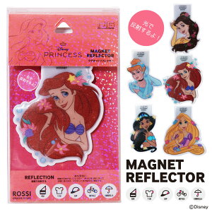 [PIG] DISNEY fUC MAGNET REFLECTOR fBYj[ }OlbgtN^[ / vZXiVf/x/AG/WX~/vcF/]/tN^[/˔/}Olbg/ʈS/
